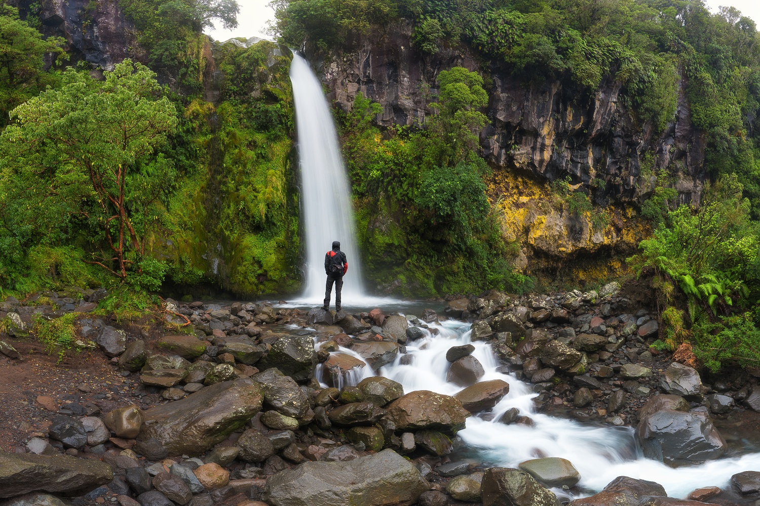 Dawson falls, Nový Zéland