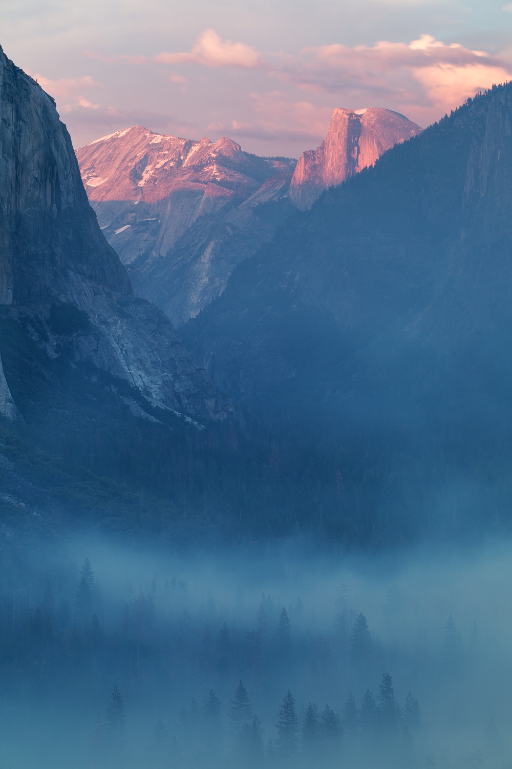 Half Dome, Yosemity, Kalifornie, USA