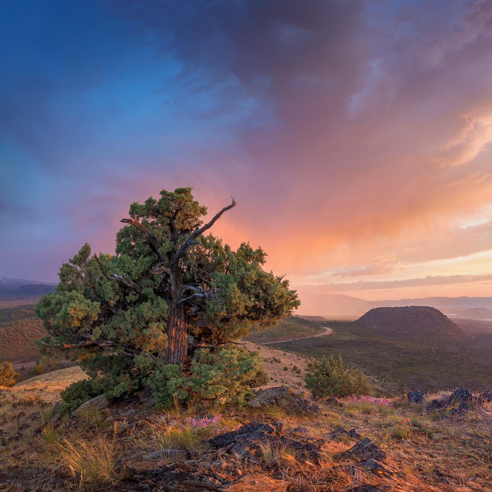 Přicházející bouře, Oregon, USA