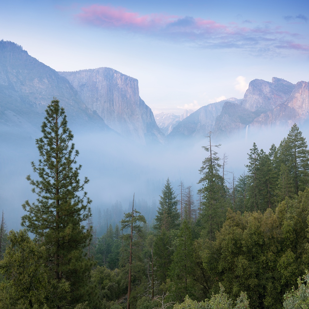 Ranní Yosemitské údolí, Kalifornie, USA